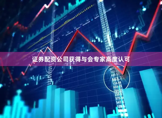 证券配资公司获得与会专家高度认可